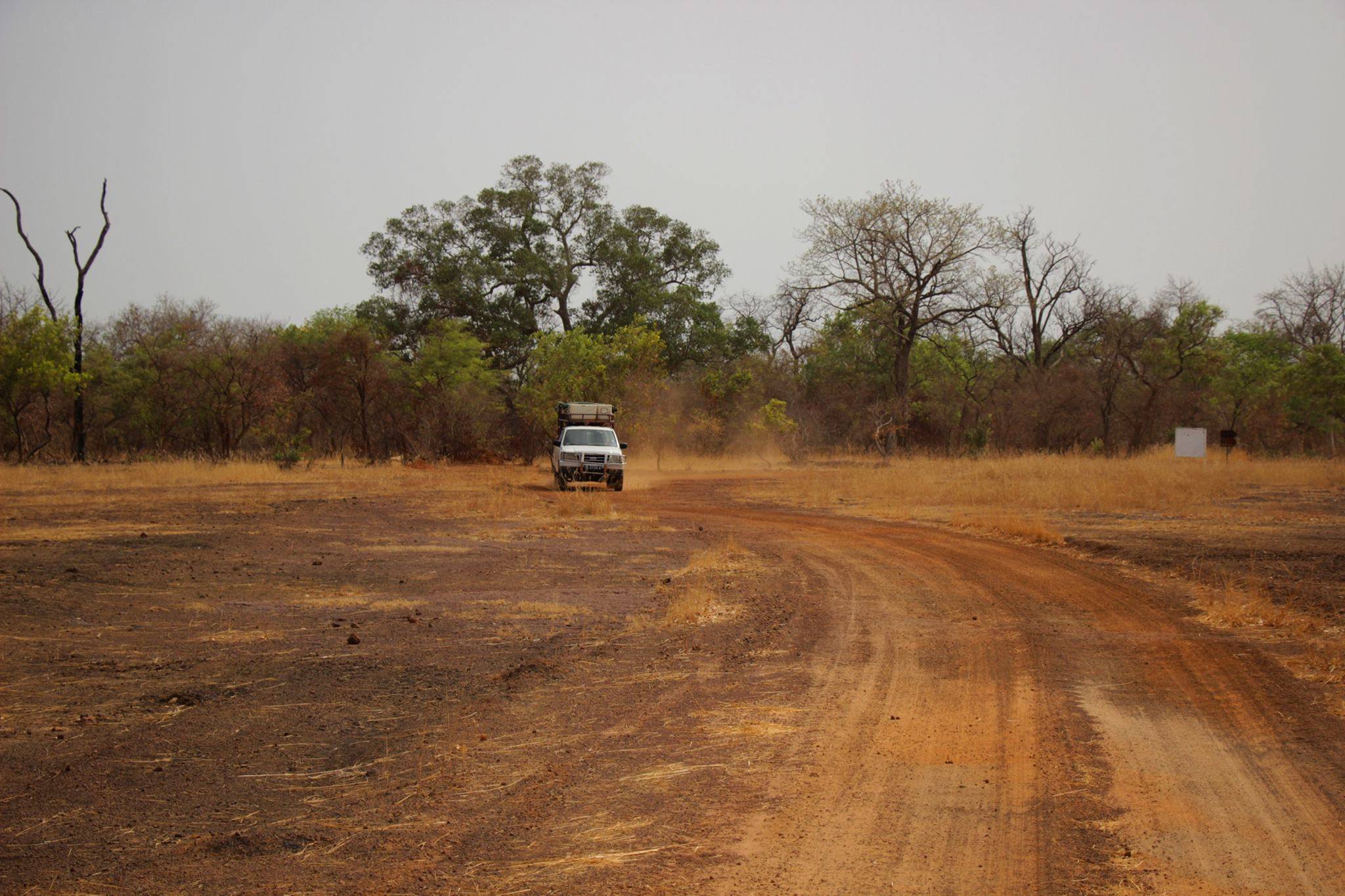 Into the Savannah