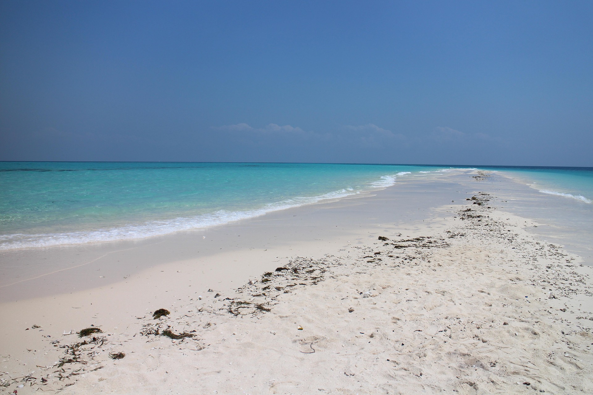 Pungume Island