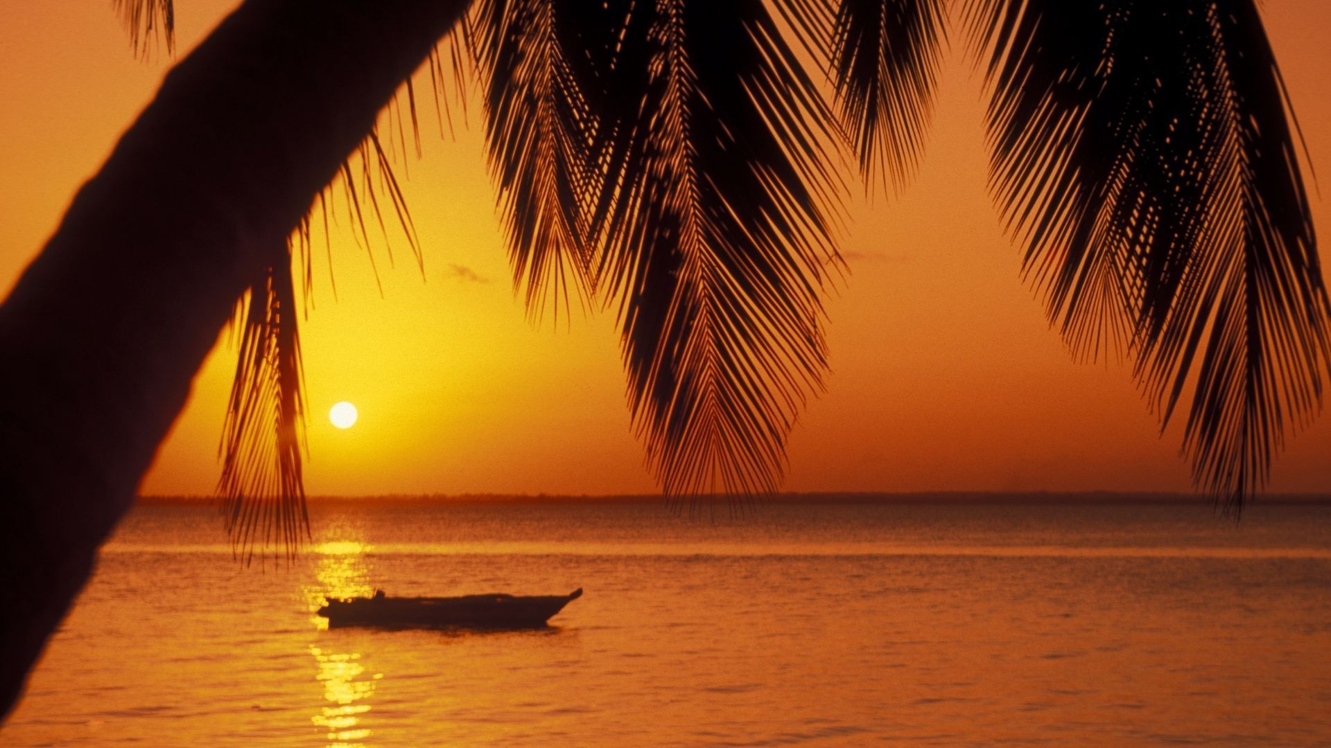 Sunset Cruise